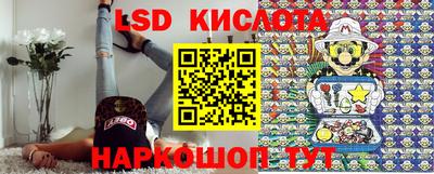 PSILOCYBIN Сланцы