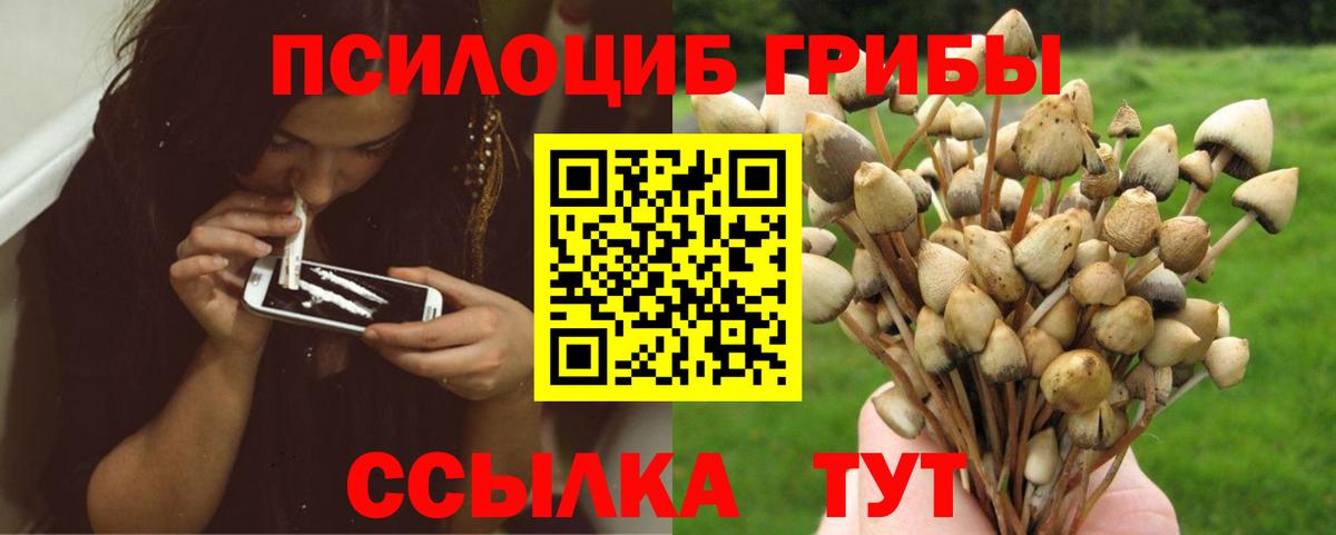 Галлюциногенные грибы GOLDEN TEACHER Павлово