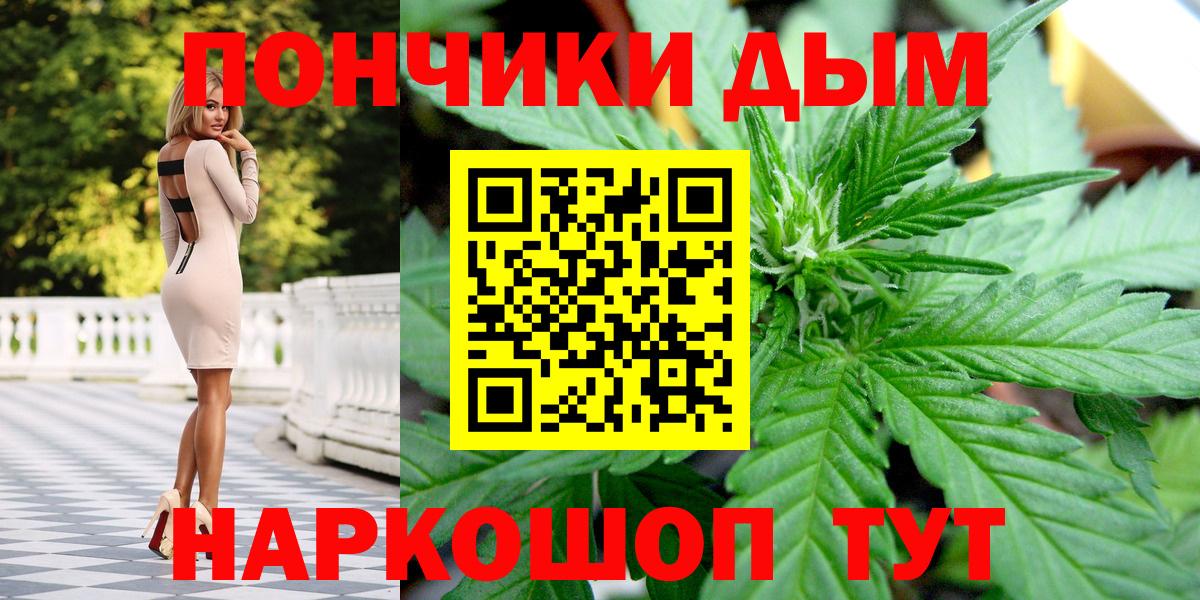 Павлово  Канабис ГИДРОПОН  Каннабис семена  Вход с VPN 